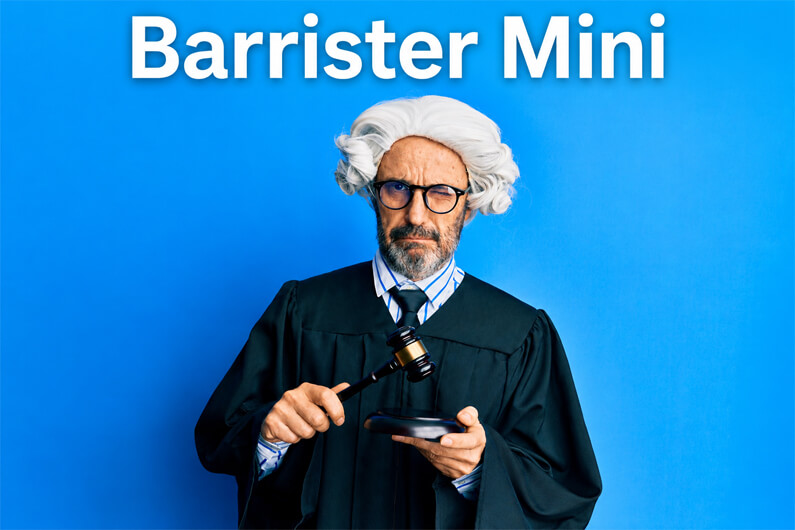 Barrister Mini Exam